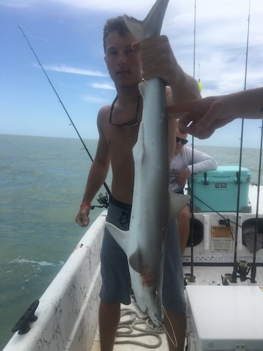 Florida Shark Fishing Charters