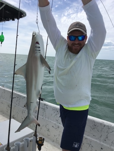 Marco Island Shark Fishing » South Florida Shark Fishing Charters