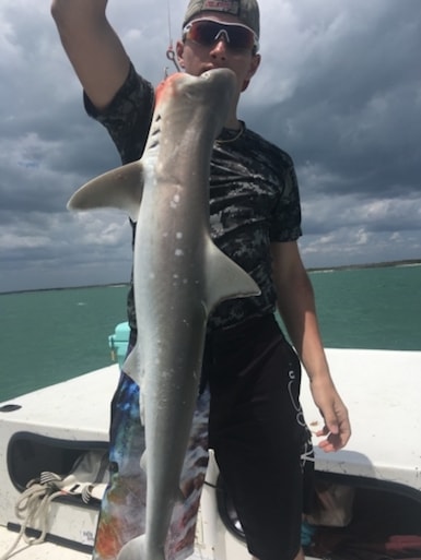 South Florida Shark Fishing